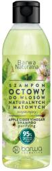 Barwa Cosmetics Sampon cu otet din cidru de mere Barwa Cosmetics, 300 ml (20408148050220)
