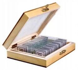 Opticon Mikroszkóp készítmények Botanika 25db Lencsék Minták (OPT-38-001436)