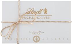 Lindt Hochfein Praliné Keverék 120 g (4000539396540)