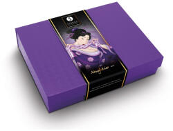 Shunga Naughtier Intimate Pleasure Kit - Páros Stimuláló Ajándékcsomag - mobilehome