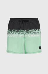 O'Neill Cali Stripe 16'' Swimshorts