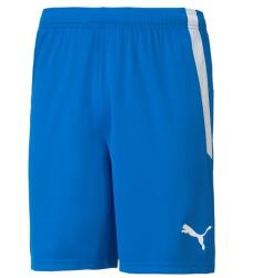  teamLIGA Shorts