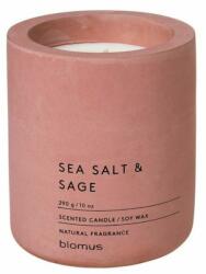 blomus Fraga sea salt & sage 290 g