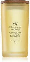 Chesapeake Bay Mind & Body Strength & Energy 355 g