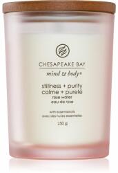 Chesapeake Bay Mind & Body Stillness & Purity 250 g