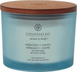 Chesapeake Bay Reflection & Clarity 312 g