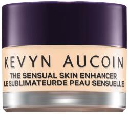 Kevyn Aucoin - Korrektorok 10 g SX 01