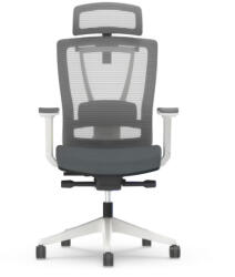 FlexiSpot BS14 Ergonomikus Irodai Szék, Szürke- Állítható Deréktámasszal (BS14G)