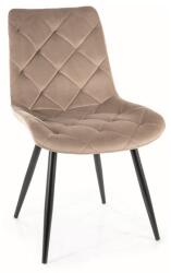 SIGNAL MEBLE Ralph Velvet étkező szék fekete láb/ sötét bézs (Bluvel 40)