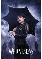 Grupo Erik Wednesday: Umbrella, poszter