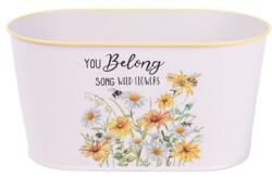 IRIS bádog kaspó ovál, margaréta mintás, fehér 23 x 12 cm 081113 (081113)