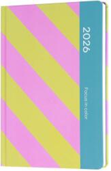  Grupo Erik határidőnapló (A5), heti, Color Fun Focus in Color, 2026 (AAESVA5CF2603)