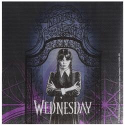 Chaks Szalvéták - Wednesday 33 x 33 cm 20 db