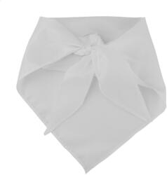  Capra kendő (AP761999-01) - naturebrand