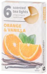  Teamécses 6Db Orange Vanilla Illatgyertyák