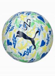 PUMA Neymar Jr Graphic mini edző láblabda gyerekeknek méret1 (084141-01)