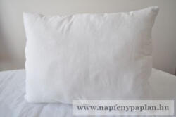  Antibakteriális gyermek párna 30x40 (342_1)