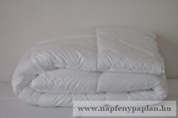  Antibakteriális paplan (135x190, őszi-tavaszi) (305)