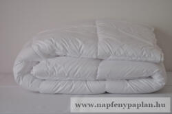  Antibakteriális TE+ÉN 4 ÉVSZAK paplan (200x220) 3 az 1-ben (323)