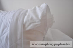  Állítható töltetű Antibakteriális kispárna (38x48) (2342_1)