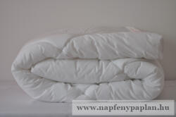  Antibakteriális 4CHILD 4 ÉVSZAK paplan (90x135) 3 az 1-ben (324)