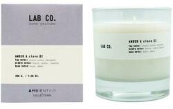 Ambientair Amber & Clove 200 g