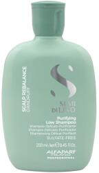 ALFAPARF Milano - Semi di Lino Samponok 250 ml