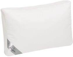 Green Future Aero memóriapárna 50x60 fehér - bambusz