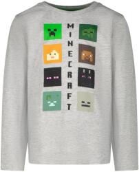 Minecraft Heroes Skins Logo gyermek felső, hosszú ujjú, 9 év/134 cm, szürke (GC-MNCT-257_134)