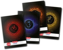 Herlitz Caiet A4, 100 file, matematica, Chakra, diverse modele, Herlitz HZ9484730 (9484730)