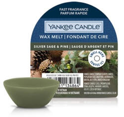 Yankee Candle Silver Sage & Pine ceară parfumată 22 g