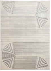 Think Rugs Сив/бежов килим 220x160 cm Apollo - Think Rugs (APO2683GRYIVRY1622)
