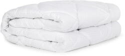 Bonami Essentials Зимна олекотена завивка и пълнеж 200x220 cm Carbon Warm - Bonami Essentials (4779056850568)
