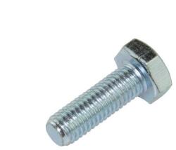 EAE M10*30mm Csavar (t1503)