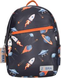 Zebra Trends Sem W01162 Space