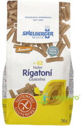 Spielberger Paste Rigatoni din Ovaz fara Gluten Ecologice/Bio 250g