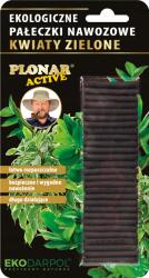 EkoDarPol Plonar pálcika Kw. Zöld 30 db Ekodarpol (Plonar r. zielone)