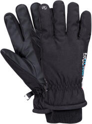  Softshell mănuși izolate SKIMAX (RSKIMAX-WIN_B)