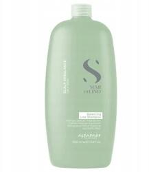 ALFAPARF Milano Scalp Care Balancing Sampon 1000ml (8022297095929)