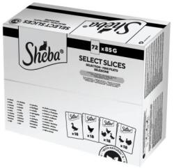 Sheba alutasak baromfi ízesítésben macskák részére 72x85 g 72 x 85 g (DJ00E)