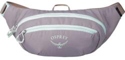 Osprey Daylite Waist Pack