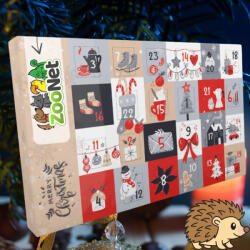 Zoonet | Adventi naptár afrikai fehérhasú törpesünöknek - Egyedileg összeállított ünnepi finomságokkal