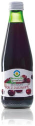  Bio Food Bio Food bio 100% tőzegáfonya lé gyümölcsből préselve 300 ml - delfinbuvar