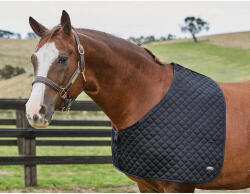 Weatherbeeta Ló vállvédő Weatherbeeta Deluxe Mini fekete