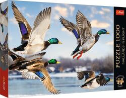 Trefl - Repülő vadkacsák 1000 darabos kirakó (99278)