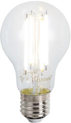 QAZQA Okos állólámpa fekete, WiFi A60 füstüveggel - Bliss (103574)