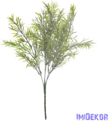  Hamvas aszparágusz csokor, vastaglevelű, 38cm magas