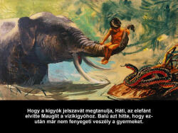 Diafilmgyártó Kft Maugli, a farkasok fia - Diafilm (5998644102479) - kepregenymarket