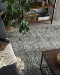 MAXISHOP Italia Collection Covor shaggy EVREN Gri deschis 200 x 300 cm (475047) Covor