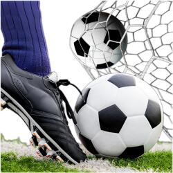 Red Garden Focilabda 5-ÖS Méret Focilabda Fekete-fehér Foltos Varrott (Piłka do nogi piłka nożna 5)